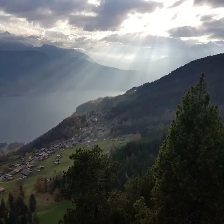 Carpe Diem - Rooftop Of Interlaken Apartment Beatenberg