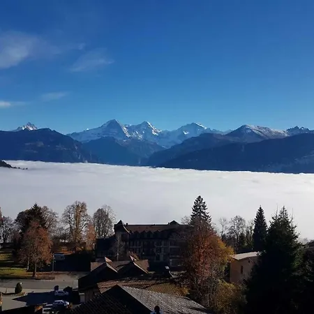 Apartment Carpe Diem - Rooftop Of Interlaken