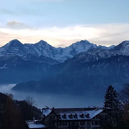 Apartment Carpe Diem - Rooftop Of Interlaken Beatenberg