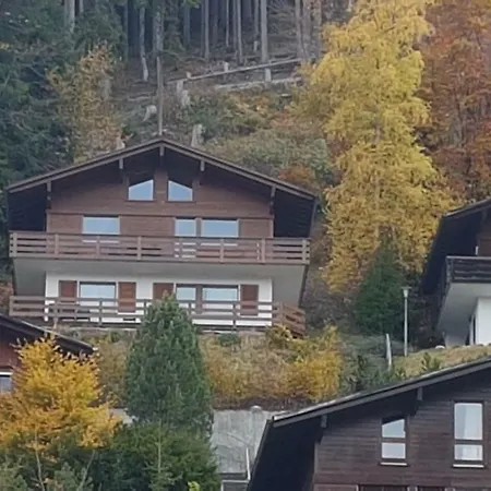 Carpe Diem - Rooftop Of Interlaken Apartment Beatenberg